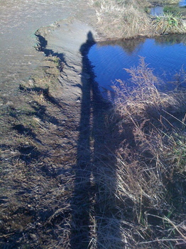 写真.jpg